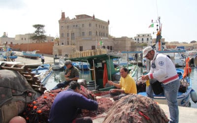 Ägadische Inseln, Favignana-Fischerhafen (3)