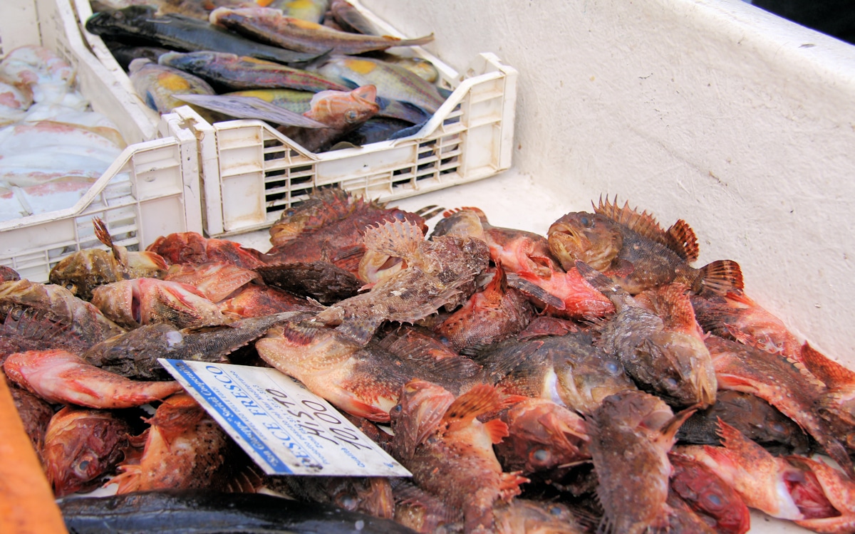 Ägadische Inseln, Favignana-Fischerhafen (4) Ägadische Inseln, Favignana-Fischerhafen (4)