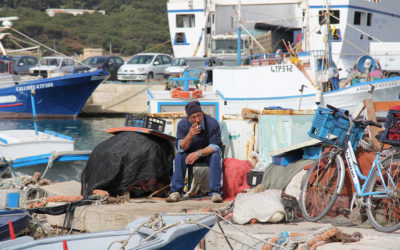 Ägadische Inseln, Favignana-Hafen (1)