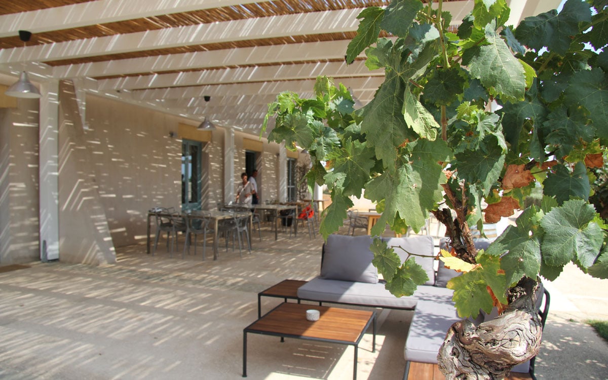 Agriturismo Menfi (13) Agriturismo Menfi (13)