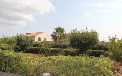 Agriturismo Menfi (16)