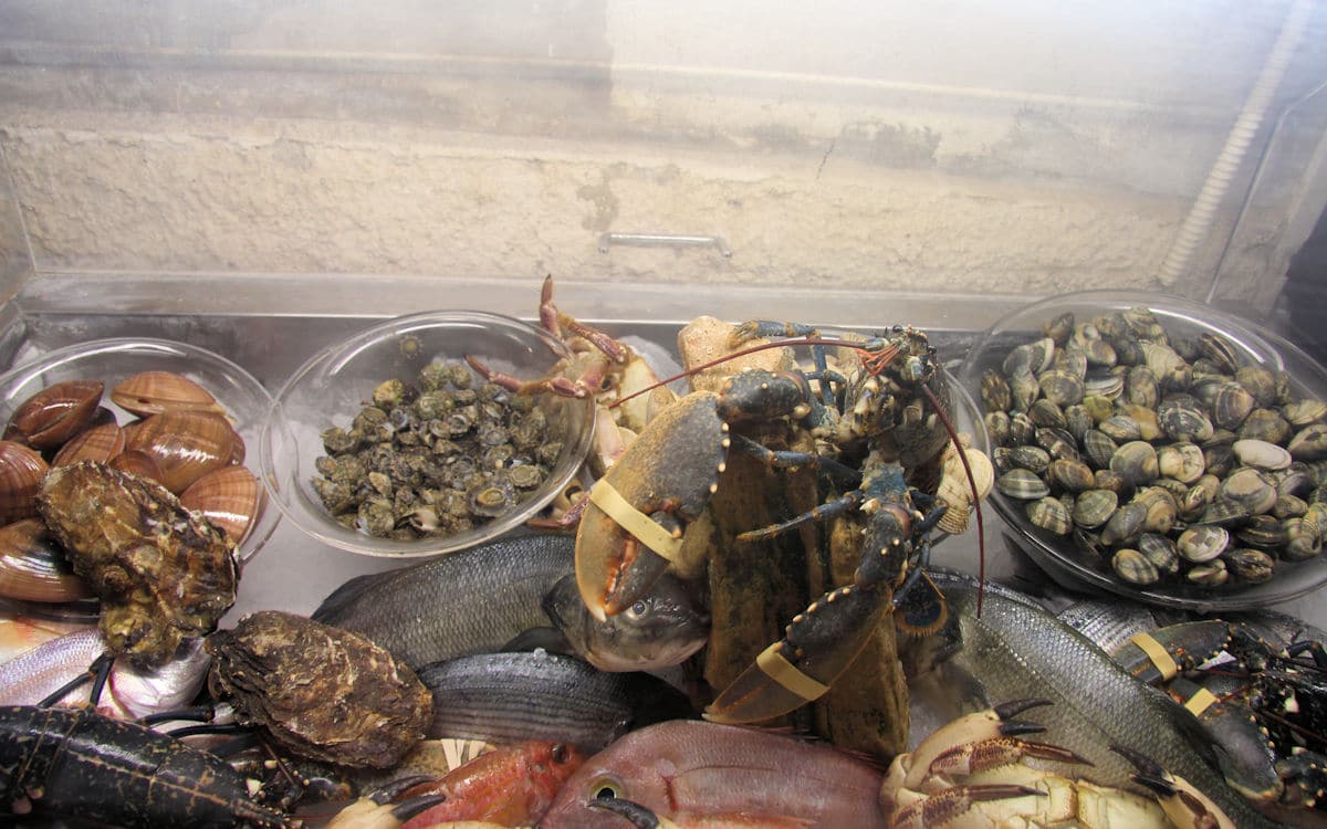 Ortigia Fischrestaurant Ortigia Fischrestaurant