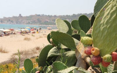 Sandstrand Portopalo im Sommer (1)