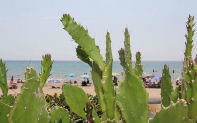 Sandstrand Portopalo im Sommer (4)