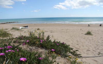 Strand Portopalo in April (6)