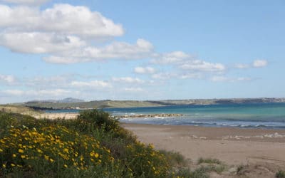 Strand Portopalo in April (8)