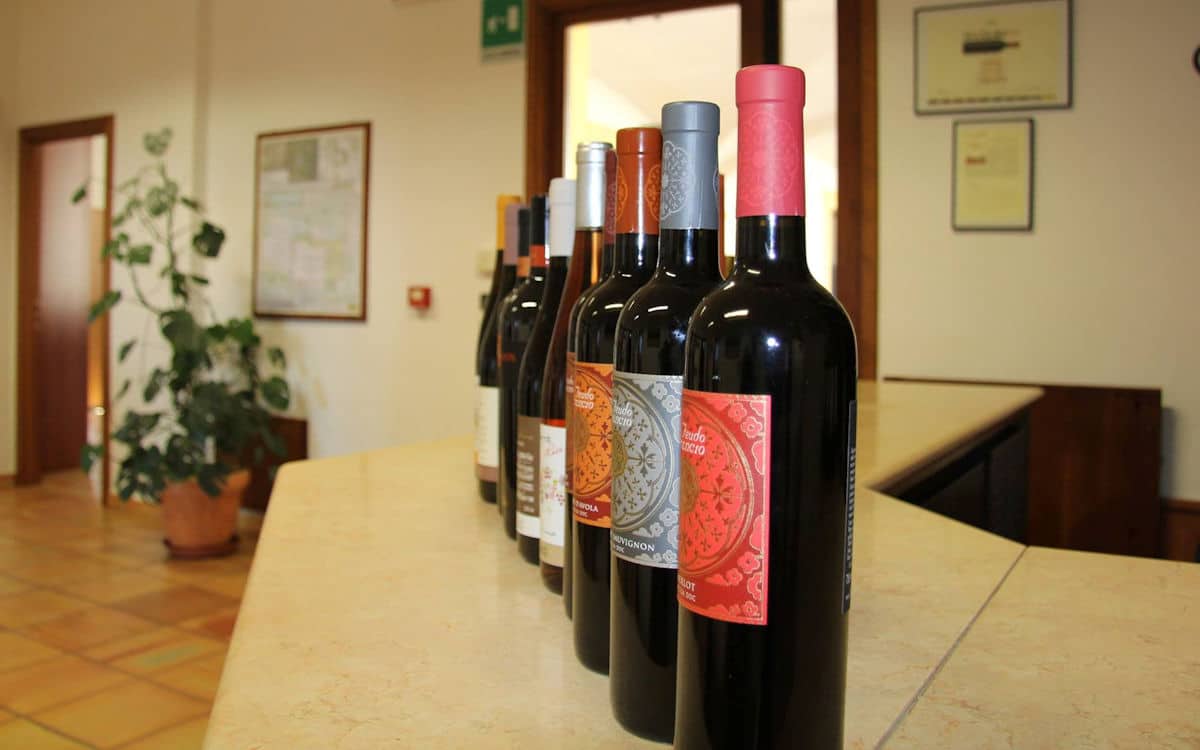 Weinprobe auf Sizilien (8) Weinprobe auf Sizilien (8)