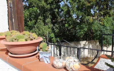 Cottage Portopalo 2, Terrasse (4)